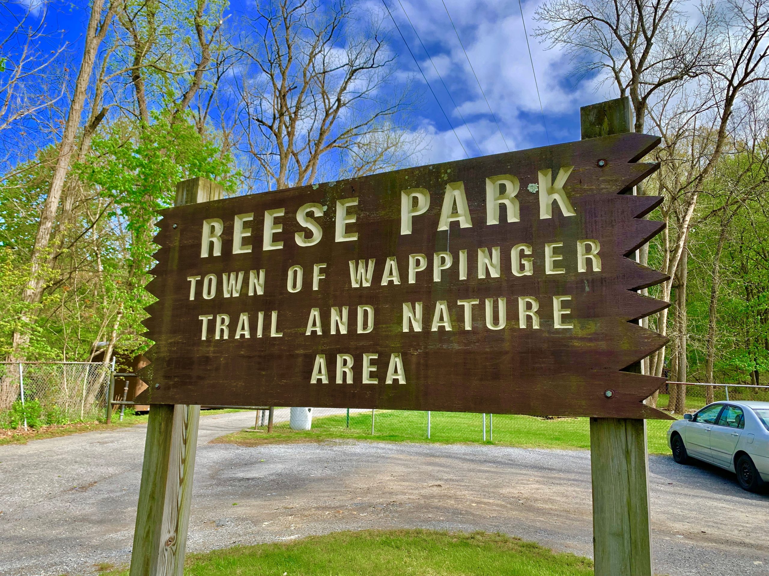 Reese Park Town Nature Preserve Image